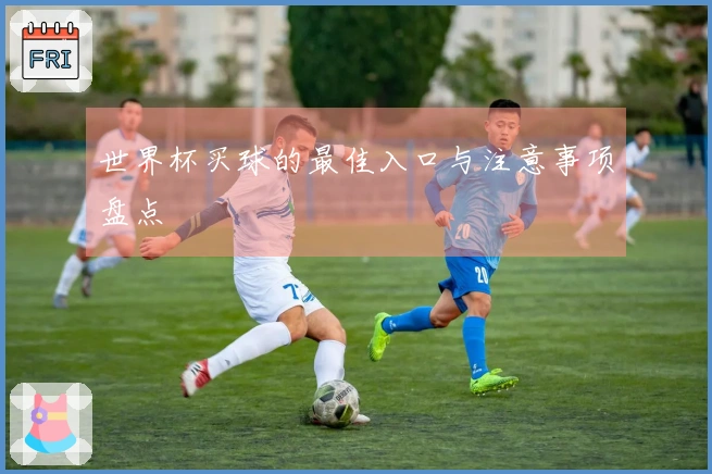 世界杯买球的最佳入口与注意事项盘点