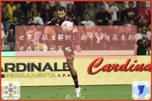 世界杯投注解析：新手如何在竞彩中选择最优策略