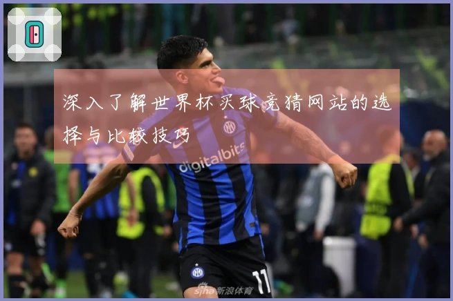 深入了解世界杯买球竞猜网站的选择与比较技巧