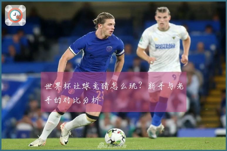 世界杯让球竞猜怎么玩？新手与老手的对比分析