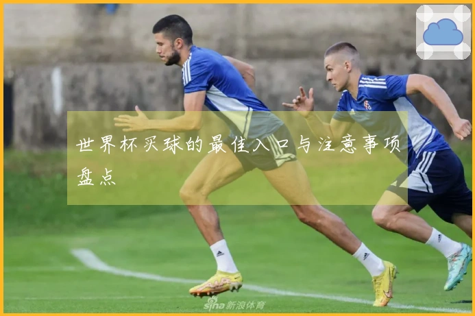 世界杯买球的最佳入口与注意事项盘点