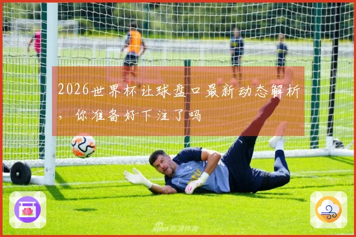 2026世界杯让球盘口最新动态解析，你准备好下注了吗