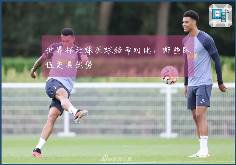 世界杯让球买球赔率对比，哪些队伍更具优势